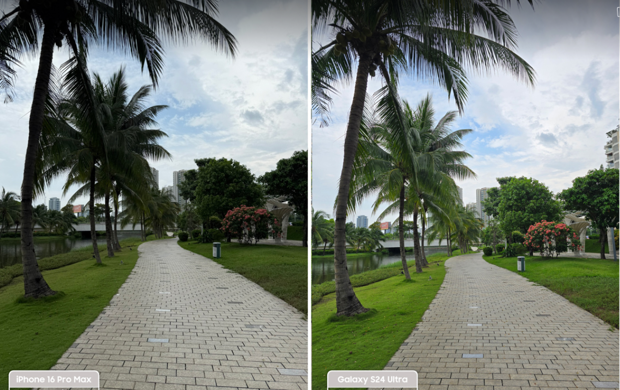 Độ Sống Động và Độ Sắc Nét
