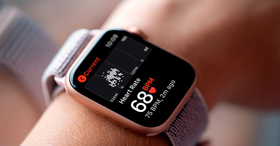 Giá trị của Apple Watch không nằm ở phụ kiện đeo hằng ngày mà còn là thiết bị theo dõi sức khỏe