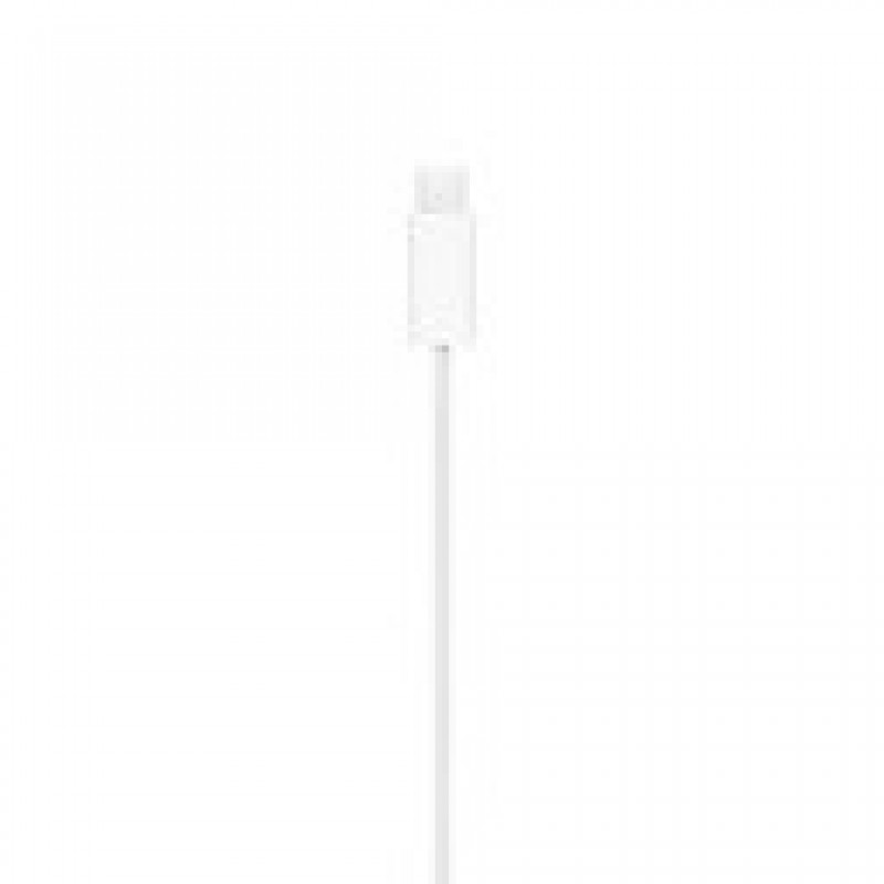 Cáp Apple USB-C to MagSafe 1m Chính hãng Silver