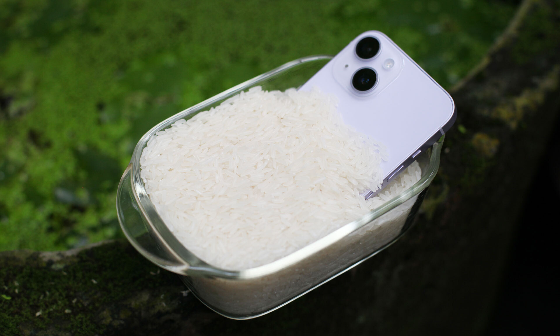 Có nên bỏ điện thoại iPhone bị dính nước vào gạo?